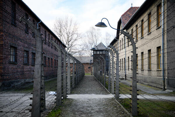 A Auschwitz-Birkenau, le 27 janvier 2025. (Bernd Von Jutrczenka /DPA. AFP)